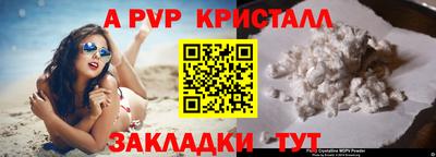 шишки Нарткала