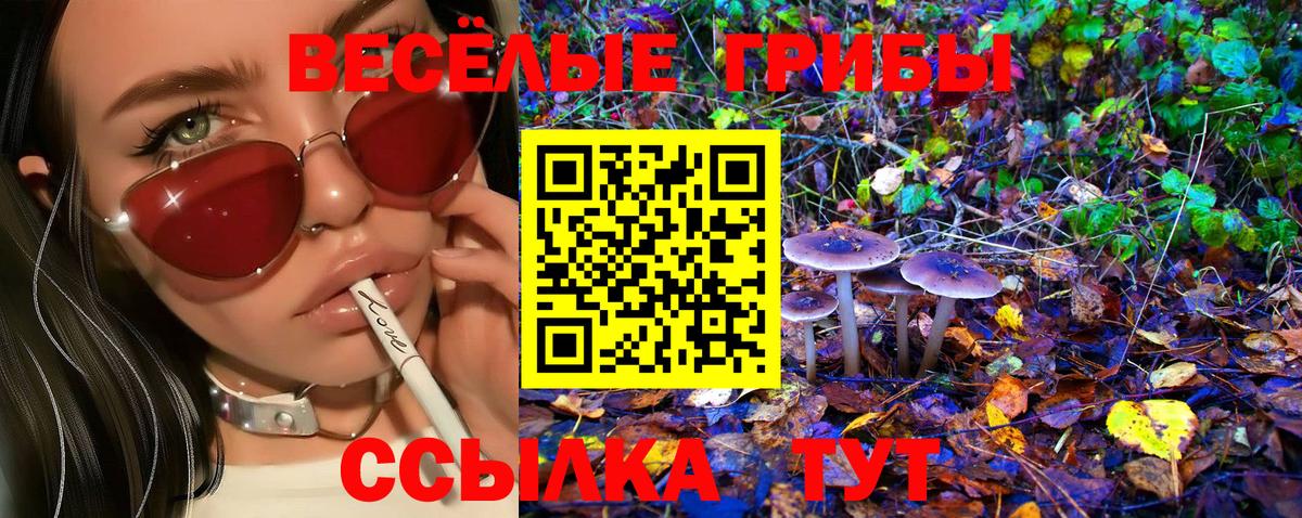 Хабаровск  Галлюциногенные грибы Psilocybe  сколько стоит  Вход с VPN 